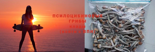 трава Покачи
