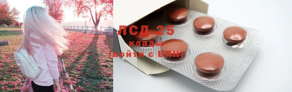 PSILOCYBIN Переславль-Залесский