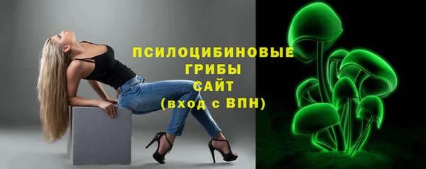 PSILOCYBIN Переславль-Залесский