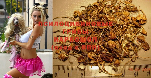 спиды Грязи