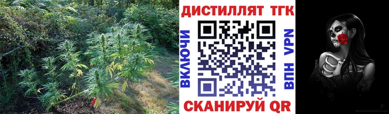 ТГК THC oil  маркетплейс как зайти  Котельниково  купить наркоту 